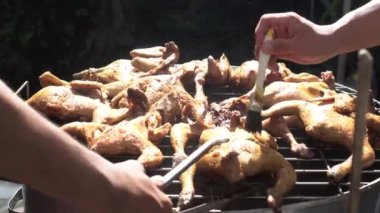 Eller ızgarada terbiye edilmiş tavuğu pişiriyor mangal ızgarasına sos ve ot ekliyor.