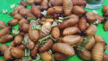 Larva palmiyesi kurdu buğday biti kızartılmış böcek yemi Güneydoğu Asya pazarında egzotik yiyecekler satıyor