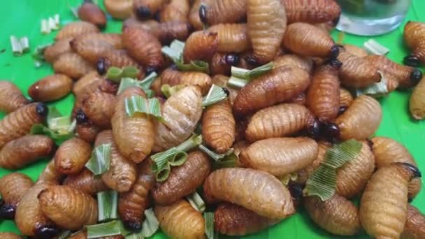 Cacing Palem Larva Weevil Camilan Serangga Goreng Menjual Makanan Eksotis — Stok Video