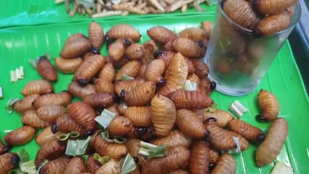 Larva Palmový Červ Weevil Smažený Hmyz Svačinka Prodávat Exotické Potraviny — Stock video