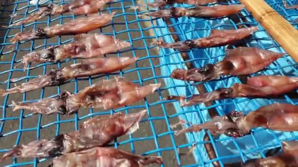 Kuru Ateş Böceği Hotaru Ika Rafında Kurutuluyor Japon Deniz Ürünleri — Stok video