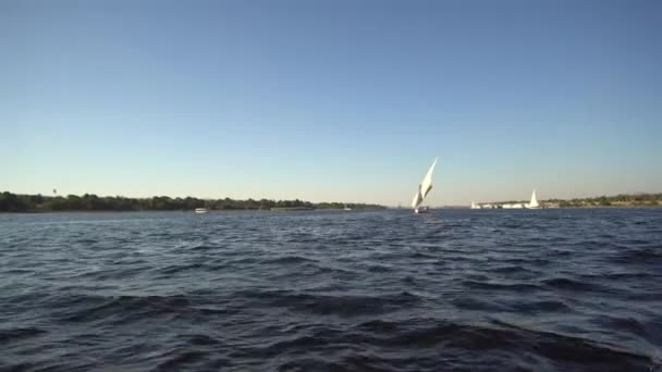 Nil Nehri Nde Yolculuk Yapmak Asawan Mısır Felucca Teknesiyle Derin — Stok video