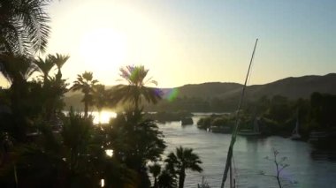 Günbatımında Aswan Nil nehri palmiye ağaçları kum tepeleri ve tekneler güzel Mısır görüntüsü HD