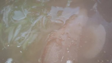Sıcak dumanlı shio ramen domuz çorbası çorbası erişte Hokkaido spesiyalitesi 4k