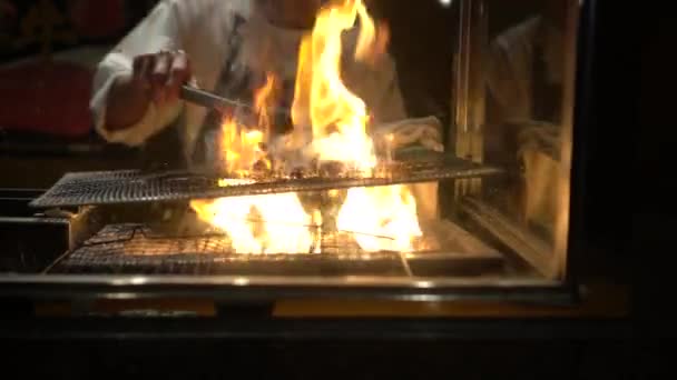 Άνθρακα Φωτιά Φλόγα Πάνω Από Ψήσιμο Yakitori Ιαπωνικό Στυλ Σκήτερ — Αρχείο Βίντεο