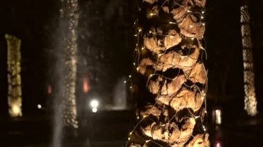 İsalamik bahçe dekorasyon stili Mısır çeşmesi ve palmiye ağacı ışıklandırması gece 4k 'de yanar
