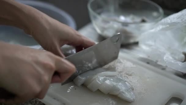 Donna Mani Coltello Taglio Affettare Calamari Freschi Seppia Pulizia Preparare — Video Stock
