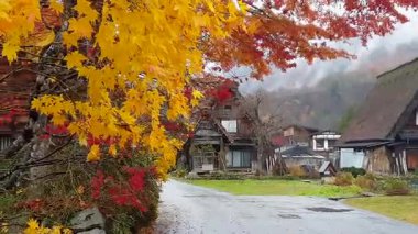 Shirakawago Japon köyü Unesco miras bölgesi Sonbahar kırmızı sarı Japonya 'dan ayrılır