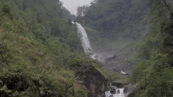 森の中の驚くほど高い滝 — ストック動画