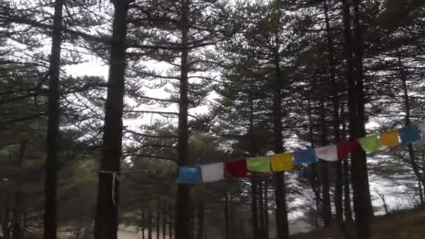 Innenansicht Eines Schneebedeckten Kiefernwaldes Mit Buddhistischen Fahnen — Stockvideo