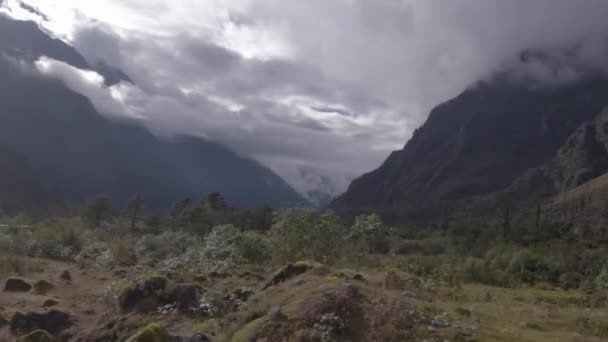 Karlı Arazide Yeşil Ormanlara Doğru Giden Bir Araba Sürüyorum — Stok video