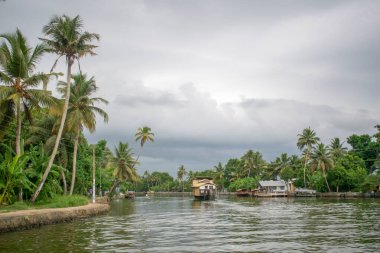 Alappuzha Alleppey Kerala 'da çok sayıda büyük yüzen ev gezintisi yapıyor.