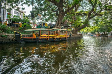 Alappuzha Alleppey yerel pazarı Kerala 'da yüzen ev kullanımında kullanılan gölü ağaç dalları kaplıyor.