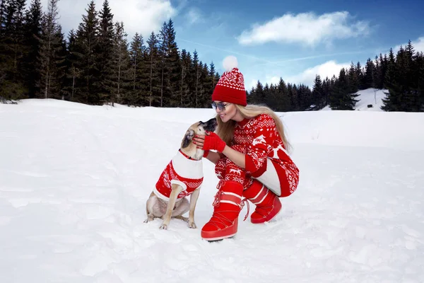 Gyönyörű Piros Karácsonyi Ruhát Játszik Kutyájával Hóban Téli Táj Hegyekben — Stock Fotó