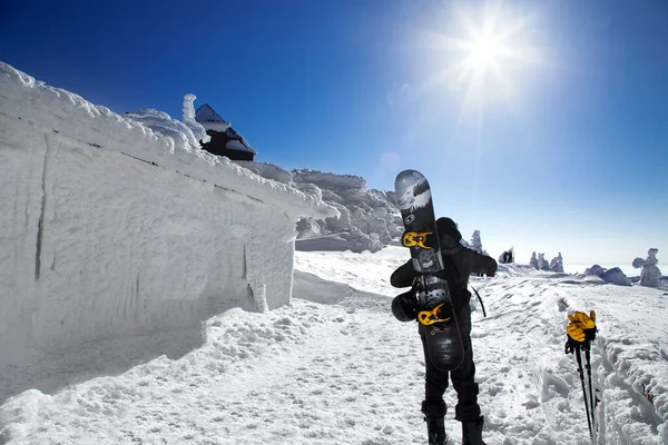 Snowboarder Nas Montanhas Desportos Inverno Extremos Snowboarding — Fotografia de Stock