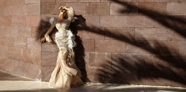 Glamour Elegante Elegante Mujer Vestido Plumas Vestido Largo Está Posando — Foto de Stock