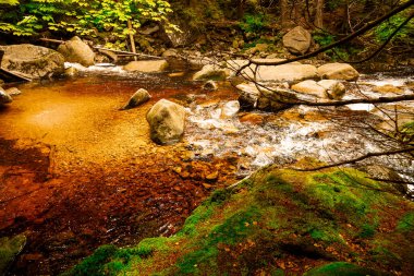 Yaz boyunca güzel Mumlavsky Şelalesi Harrachov, Dev Dağlar, Çek Cumhuriyeti