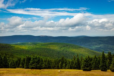 Yazın Karkonosze 'nin güzel dağ manzarası. Dev Dağlar.