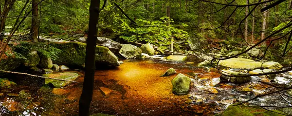 stock image Beautiful Mumlavsky waterfall during summer in Harrachov, Giant Mountains, Czech republic