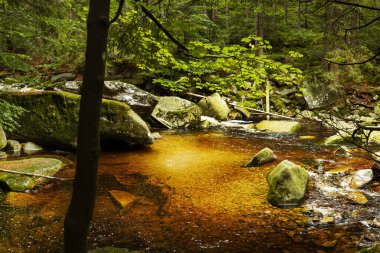 Yaz boyunca güzel Mumlavsky Şelalesi Harrachov, Dev Dağlar, Çek Cumhuriyeti
