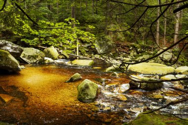 Yaz boyunca güzel Mumlavsky Şelalesi Harrachov, Dev Dağlar, Çek Cumhuriyeti