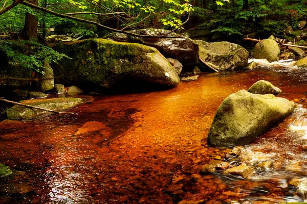 Yaz boyunca güzel Mumlavsky Şelalesi Harrachov, Dev Dağlar, Çek Cumhuriyeti