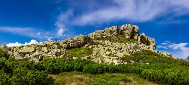 Yazın Karkonosze 'nin güzel dağ manzarası. Dev Dağlar.