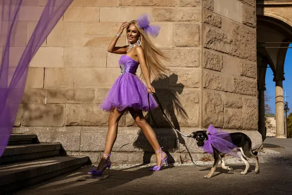 Yazlık elbisesi ve yüksek topuklu ayakkabıları olan zarif sarışın bir kadın şehirde küçük bir köpekle baştan çıkarıcı bir şekilde yürüyor..
