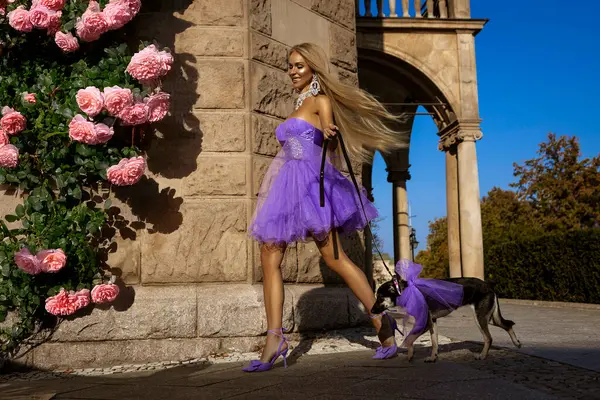 Yazlık elbisesi ve yüksek topuklu ayakkabıları olan zarif sarışın bir kadın şehirde küçük bir köpekle baştan çıkarıcı bir şekilde yürüyor..