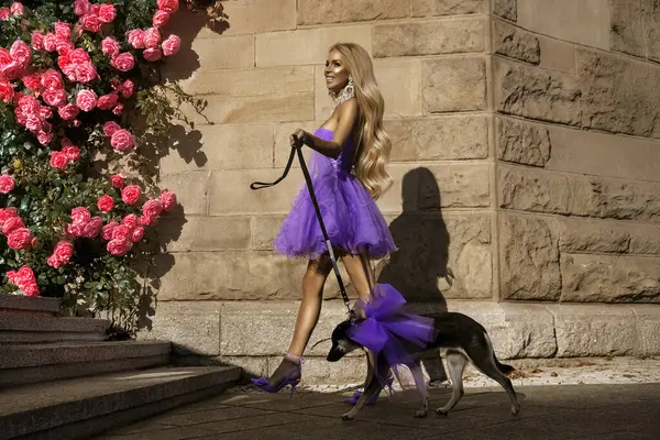 Yazlık elbisesi ve yüksek topuklu ayakkabıları olan zarif sarışın bir kadın şehirde küçük bir köpekle baştan çıkarıcı bir şekilde yürüyor..