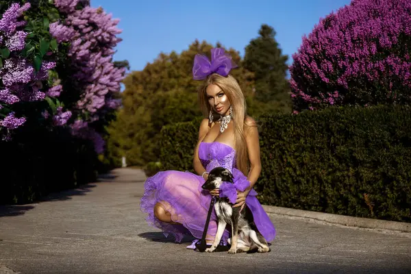 Yazlık elbisesi ve yüksek topuklu ayakkabıları olan zarif sarışın bir kadın şehirde küçük bir köpekle baştan çıkarıcı bir şekilde yürüyor..