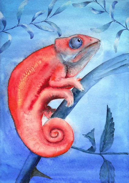 Aquarel Illustratie Van Een Heldere Rode Kameleon Zittend Een Tak — Stockfoto