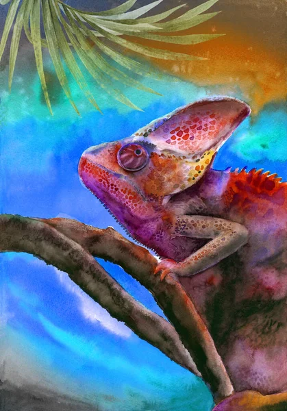 Akwarelowa Ilustracja Jasnofioletowego Kameleona Siedzącego Gałęzi Drzewa Kolorowym Niebiesko Żółtym — Zdjęcie stockowe