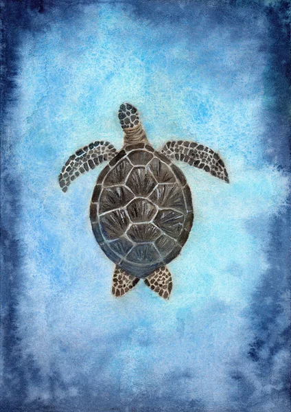 Akwarela Ilustracja Barwnego Żółwia Morskiego Pływającego Jasnych Turkusowych Wodach Oceanu — Zdjęcie stockowe