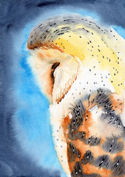 Aquarel Illustratie Van Een Witte Schuur Uil Met Bruine Vlekken — Stockfoto