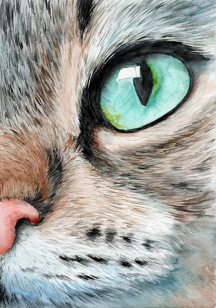 Watercolor illustration of a fragment of a cat\'s head with gray-fawn fur and a bright turquoise-green eye