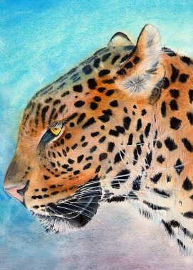 Watercolor illustration of a golden yellow with black spots leopard on a blue background