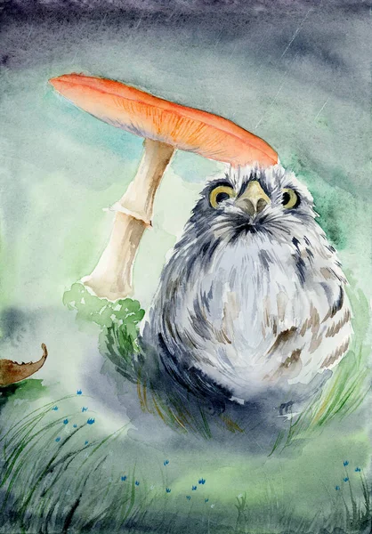 Watercolor illustration of a little grey owl under a red mushroom on a grey green background