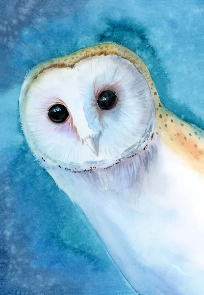 Aquarell Illustration Einer Niedlichen Weißen Schleiereule Auf Lebendigem Türkisfarbenem Hintergrund — Stockfoto