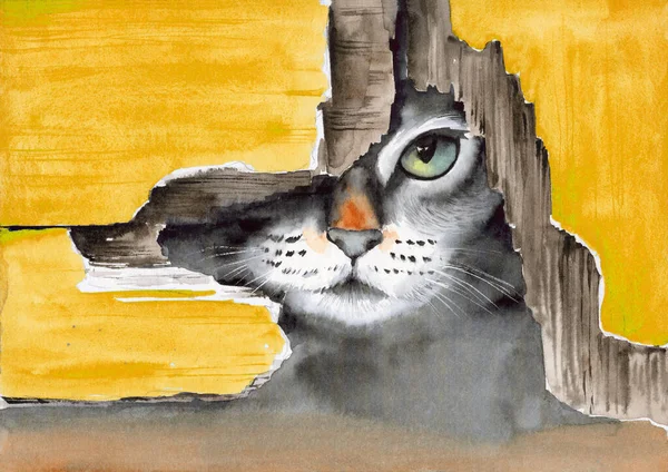 Watercolor Illustration Cute Gray Cat Green Eye Peeking Out Yellow — Stockfoto