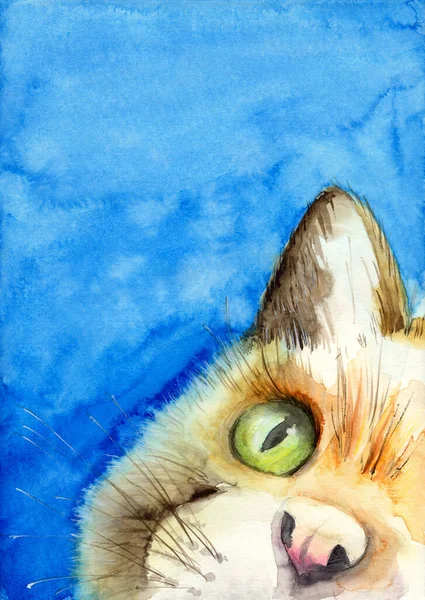 Watercolor Picture Fluffy Yellow Cats Face Vivid Green Eye Blue — Stockfoto