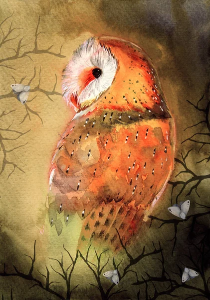 Watercolor illustration of a beautiful barn owl with colorful spotted feathers on a green-brown background with some night moths