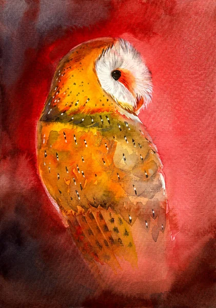 Watercolor illustration of a beautiful barn owl with colorful spotted feathers on a red-brown background