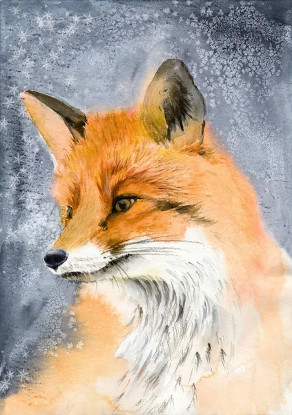 Watercolor Illustration Cute Fluffy Red Fox Gray Blue Frosty Winter — Foto de Stock