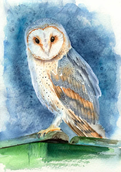 Watercolor illustration of a colorful spotted barn owl on a pale blue background perched on a green log