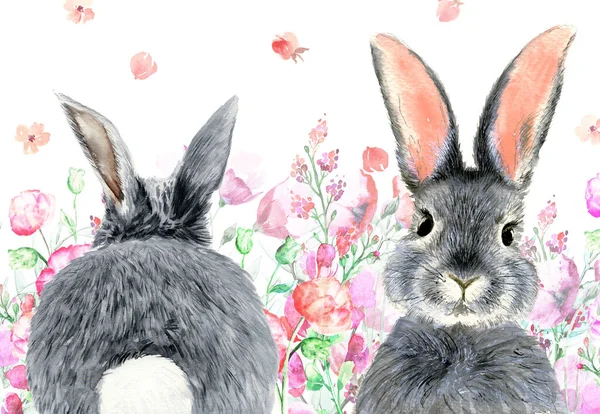 Watercolor Illustration Gray Fluffy Rabbit Long Ears Front Back View —  Fotos de Stock