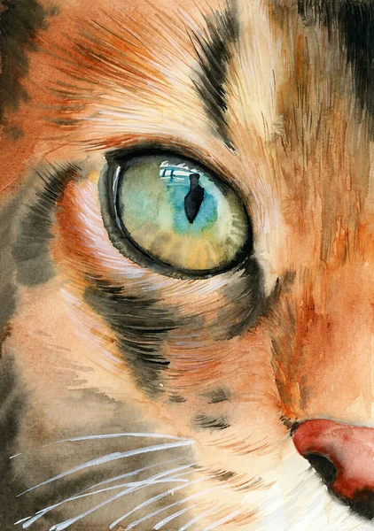 Watercolor illustration of a fragment of a cat\'s head with red-fawn fur and a bright turquoise-green eye