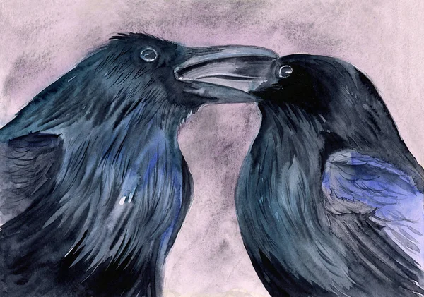 Watercolor illustration of two black ravens or crows fawning over each other on a tree branch