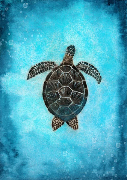Akvarel Ilustrace Barevné Mořské Želvy Plavání Jasně Tyrkysové Vody Oceánu — Stock fotografie