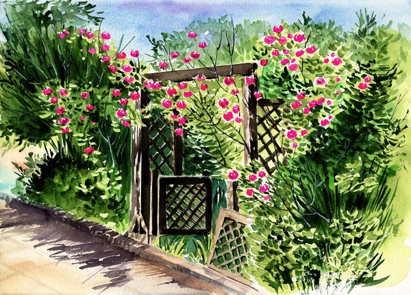 Watercolor illustration of a green summer garden with hot pink blooming roses and a wooden lattice fence